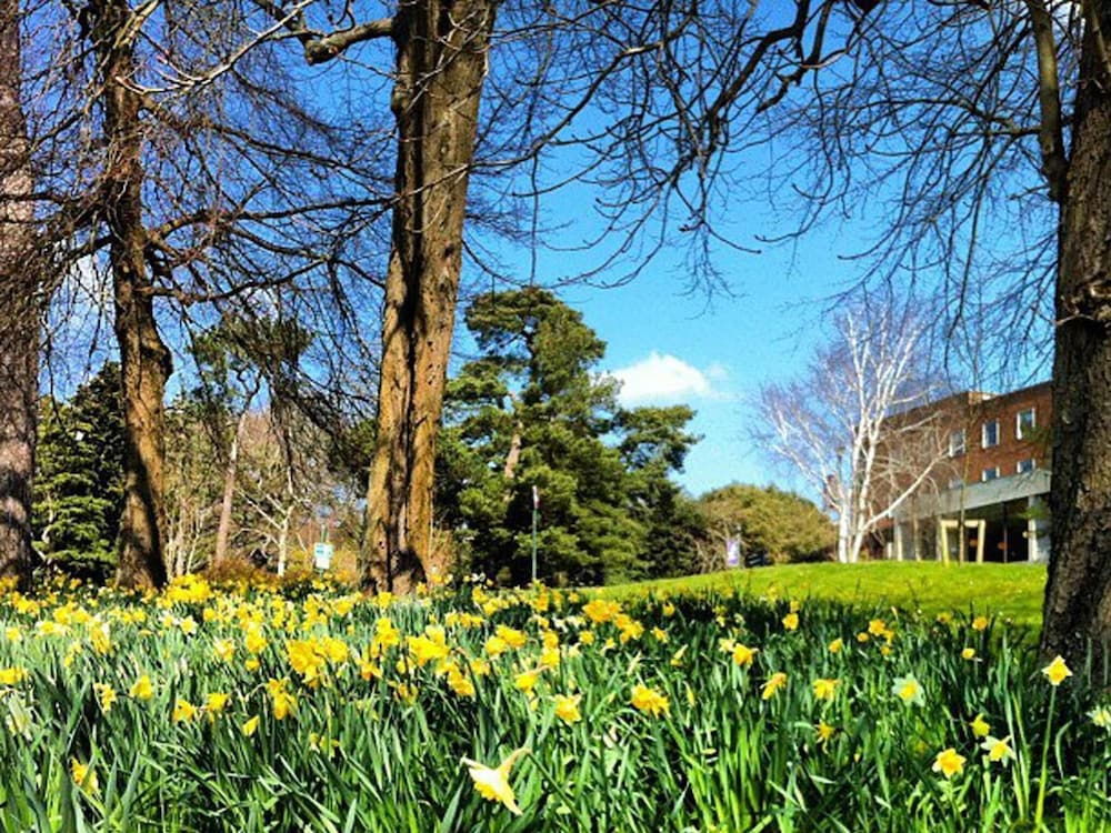 University of Exeter Holland Hall 46/50