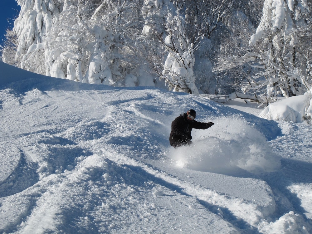 The Inn at Snowshoe 19/54