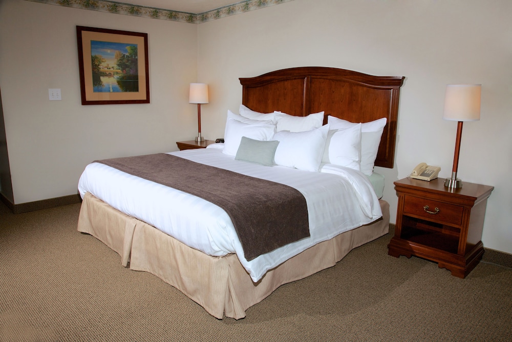 Holiday Hill Inn & Suites 33/61