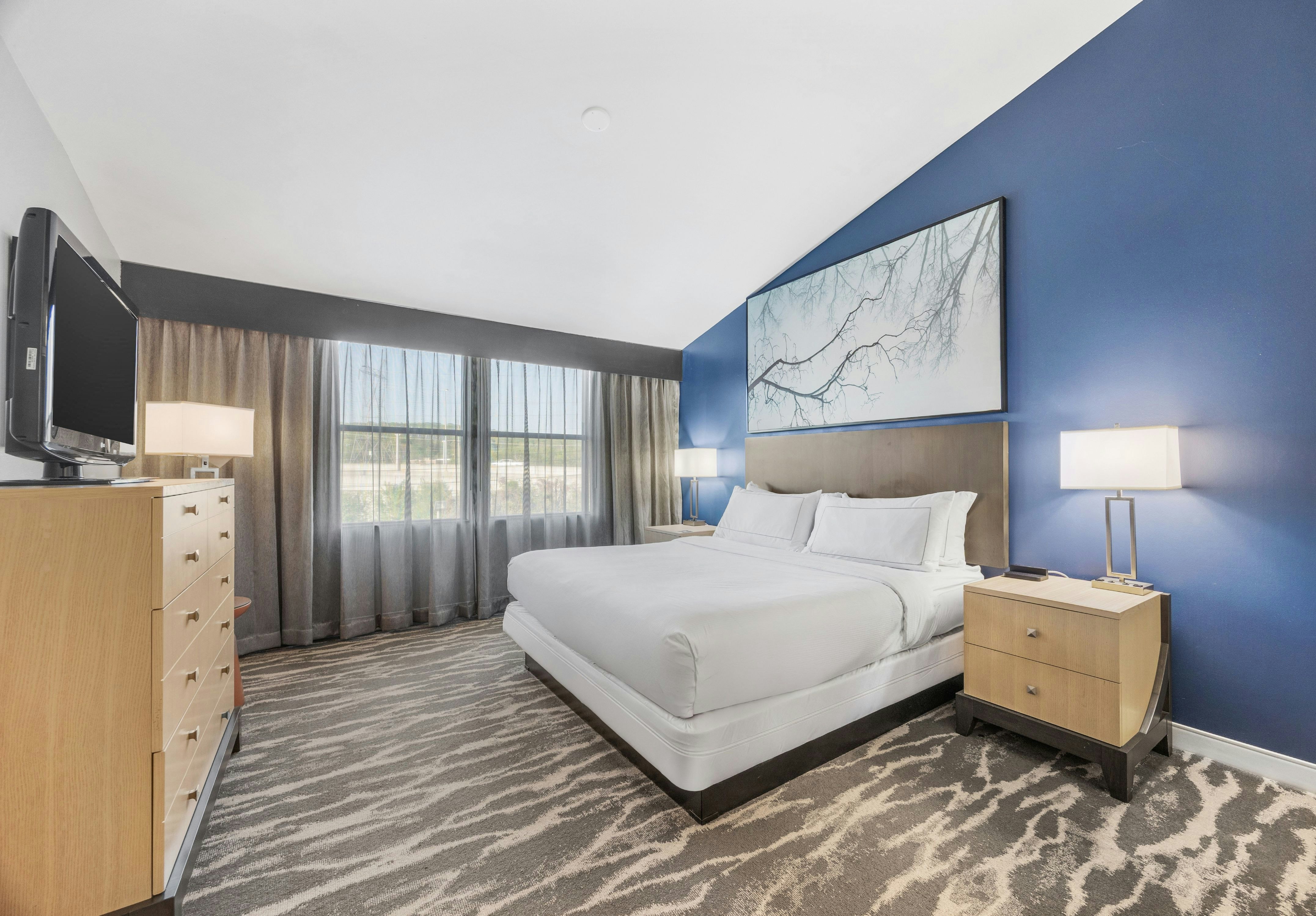SUITE, KING BED, ACCESSIBLE
