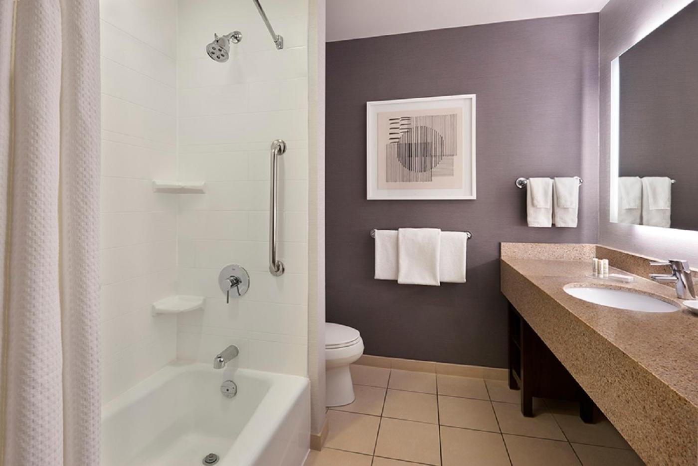 Specialty, Suite, King Bed, Sofa, Bathtub