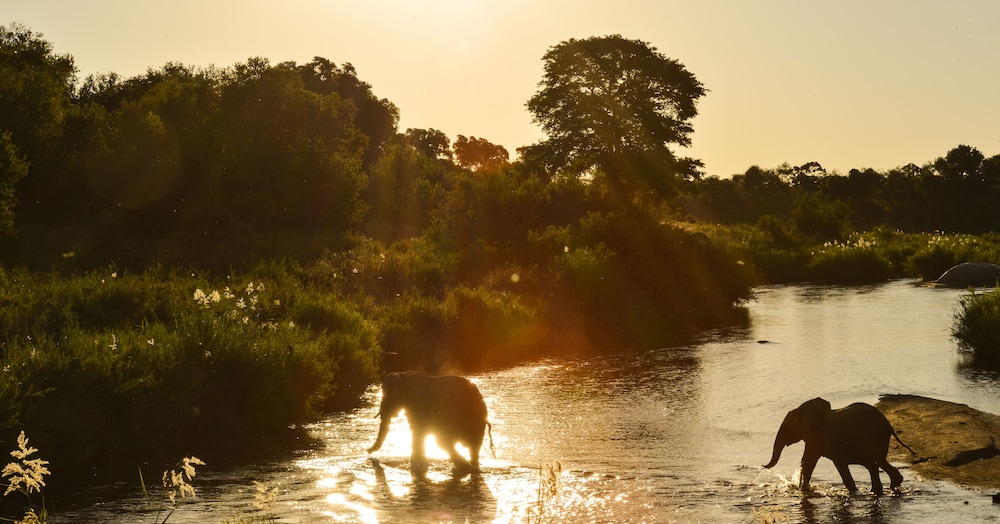 Lion Sands Kruger National Park 27/50