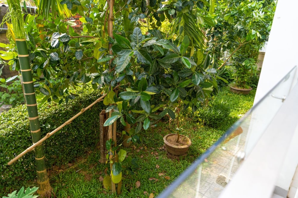 Chi Thanh Villa 43/50