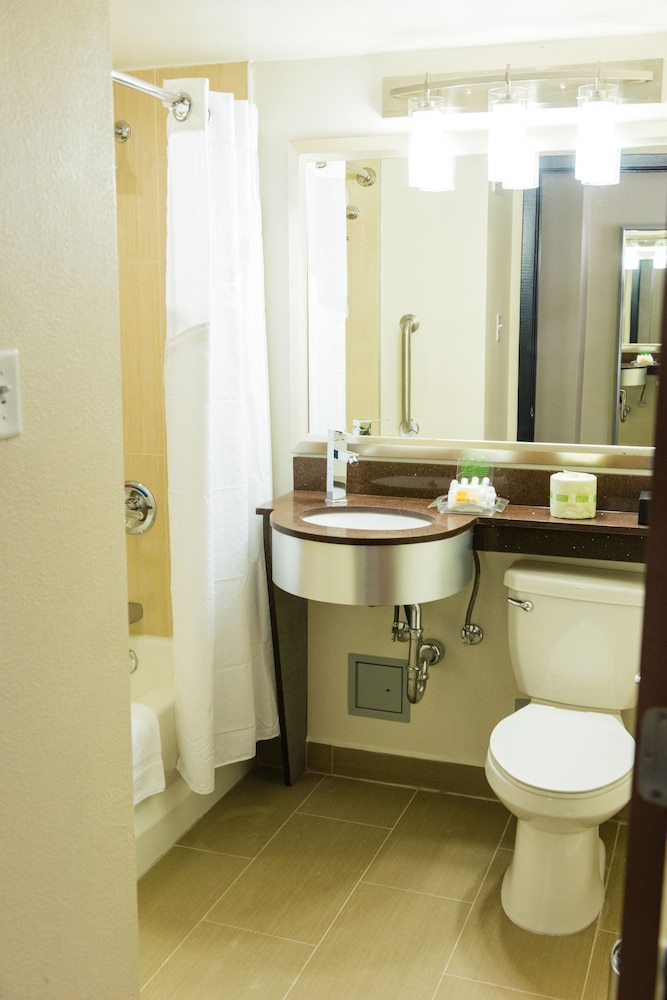 Holiday Inn Houston Downtown 28/77