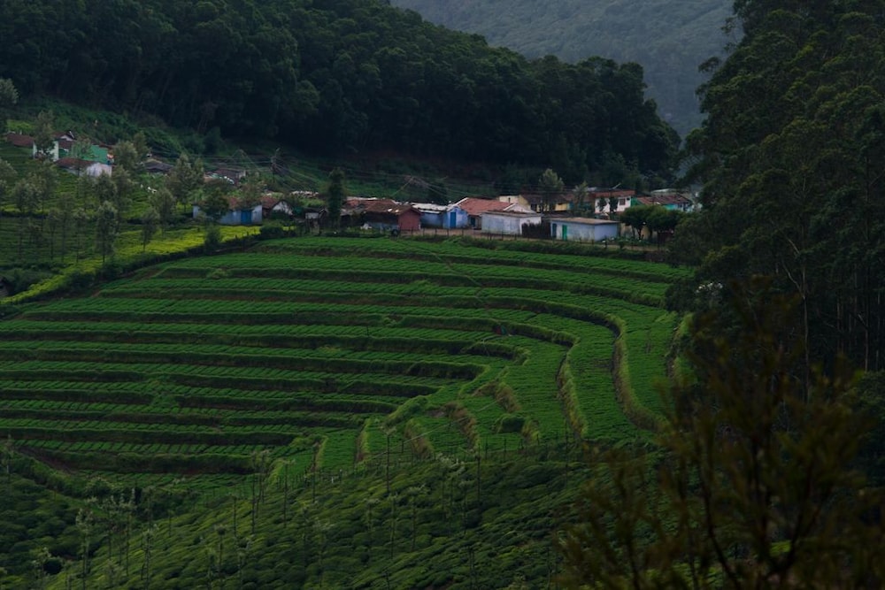 Accord Highland Ooty 50/62