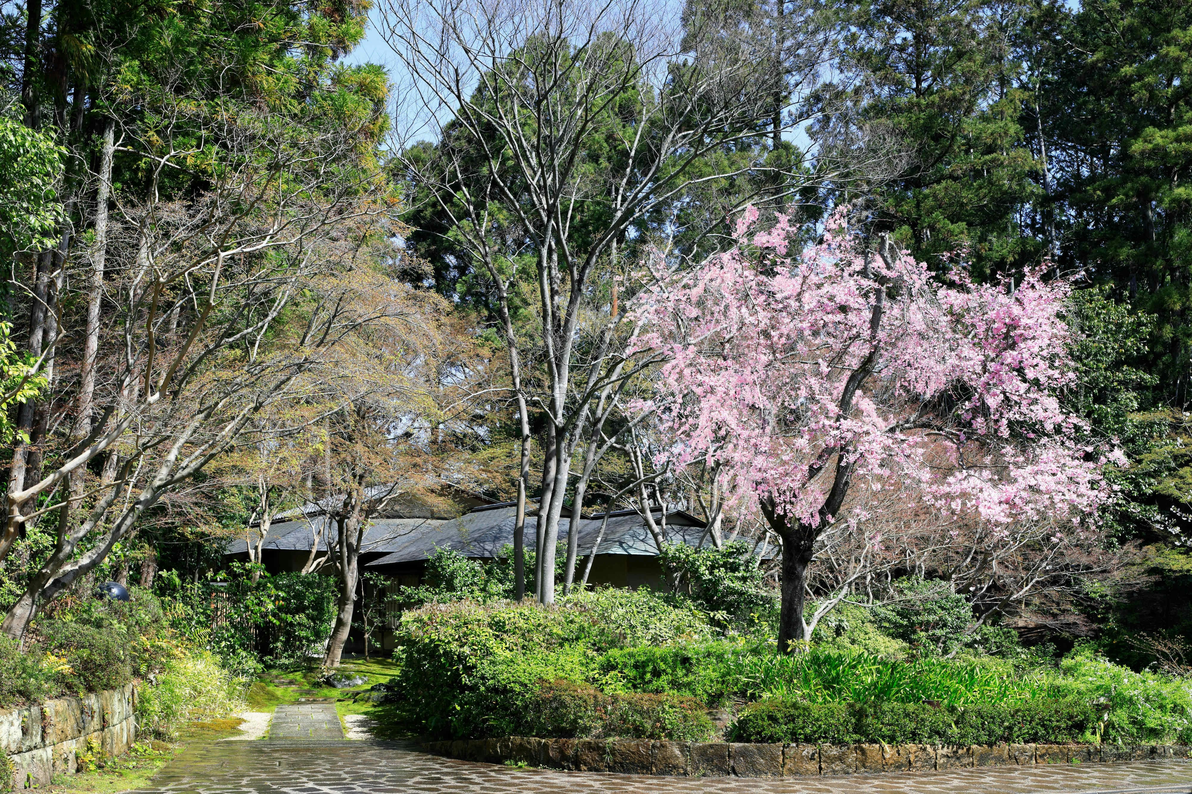 The Prince Kyoto Takaragaike, Autograph Collection 26/27