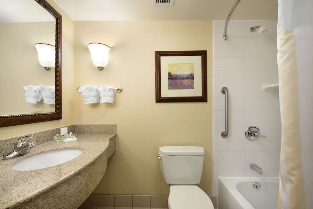 Hilton Garden Inn Chicago Ohare Airport 12/56