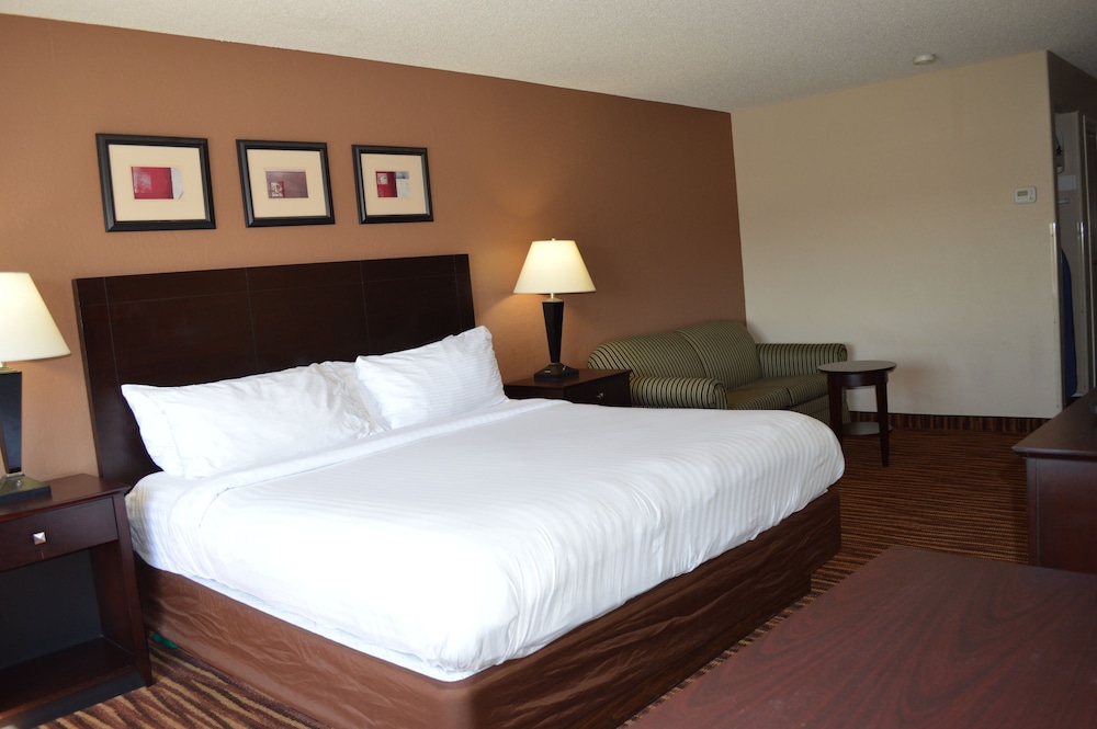 Deluxe, Single, King Bed, Sofa