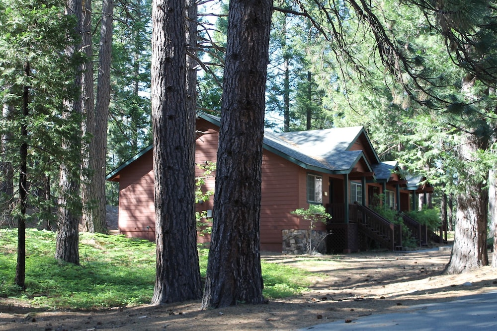 Mount Shasta Resort 3/63