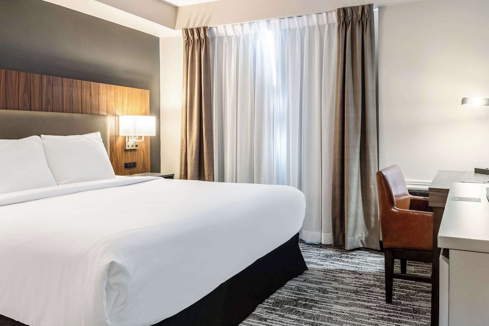 Upgrade, Suite, King Bed, Sofa