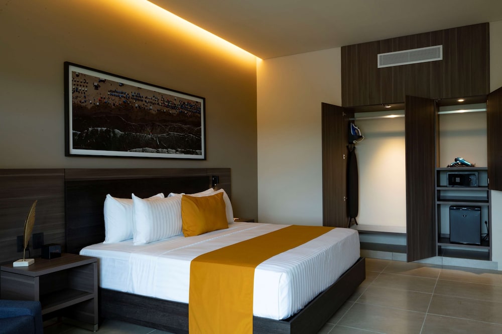 Standard, King Bed, Mountain View