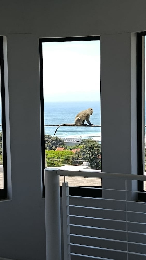 Ocean Vista Boutique Guest House 5/41