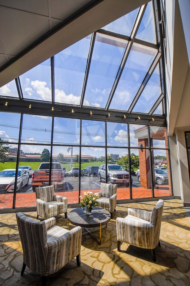 Euro Suites Hotel 35/52