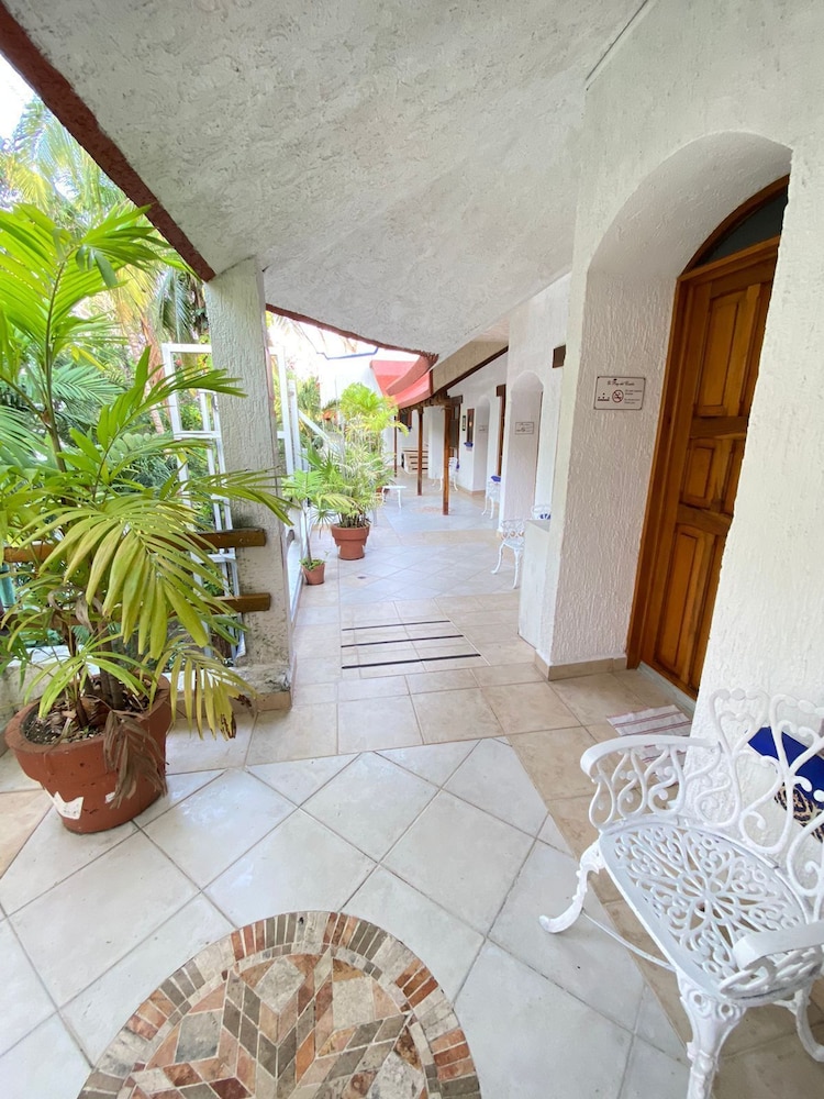 Eco Hotel El Rey del Caribe 5/50