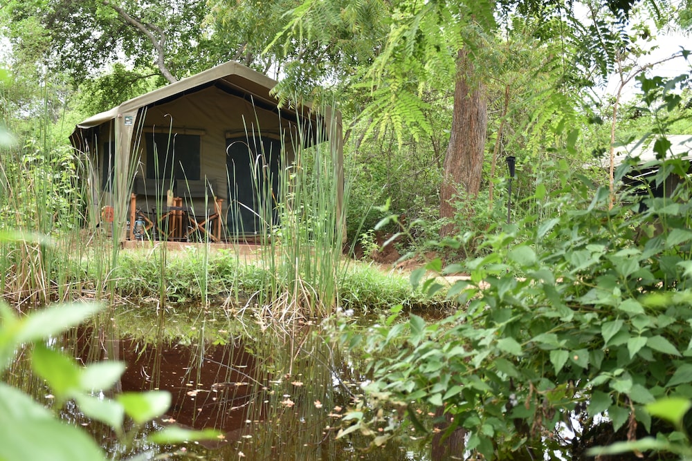 Big Game Camp Yala 2/50