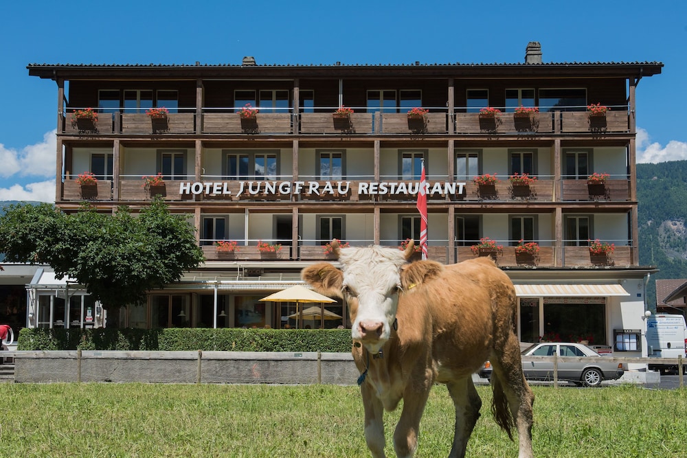 Jungfrau Hotel 4/54