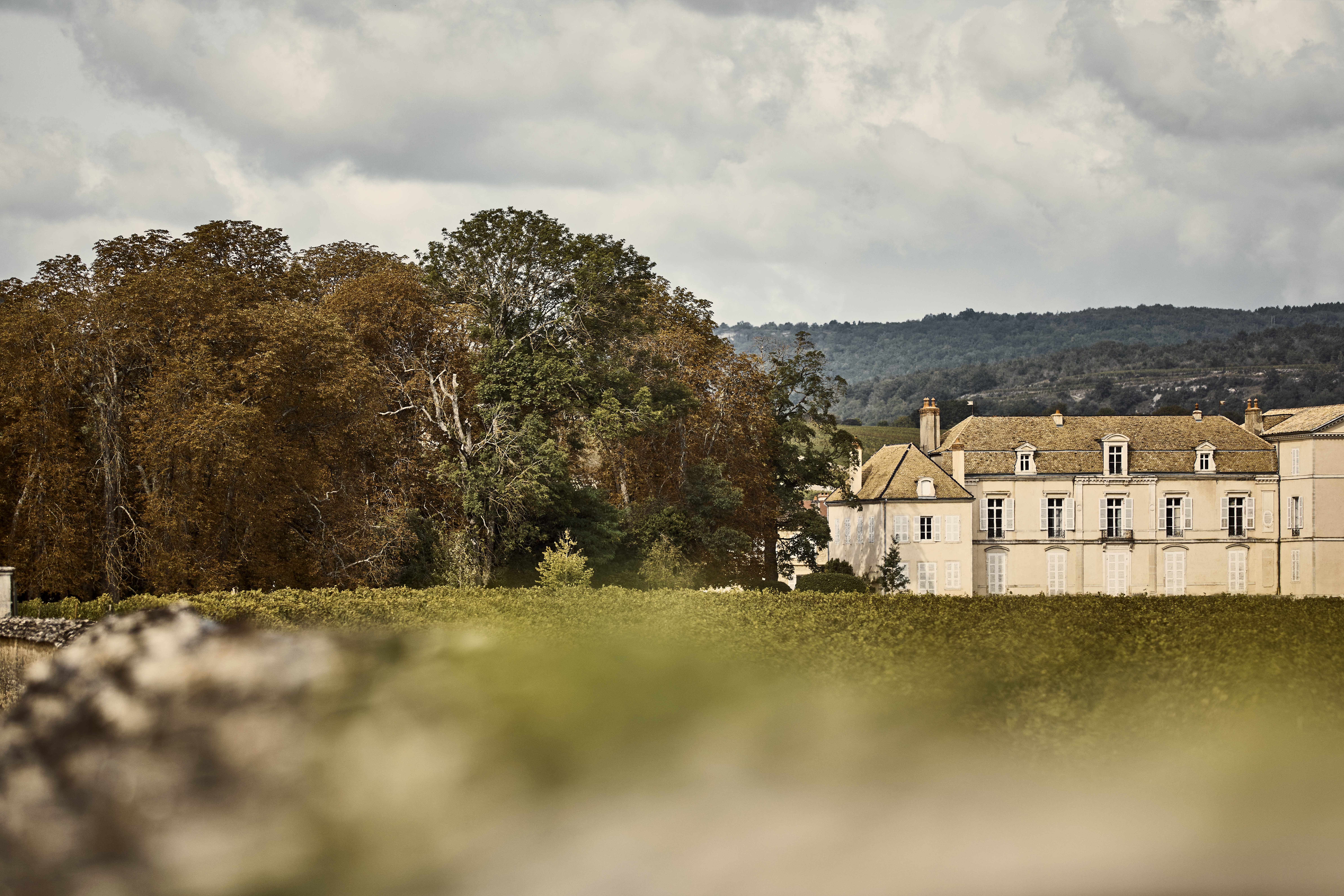 COMO Le Montrachet 47/50