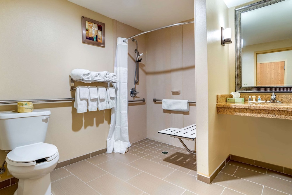 Comfort Suites Gulfport Central, MS 19/49