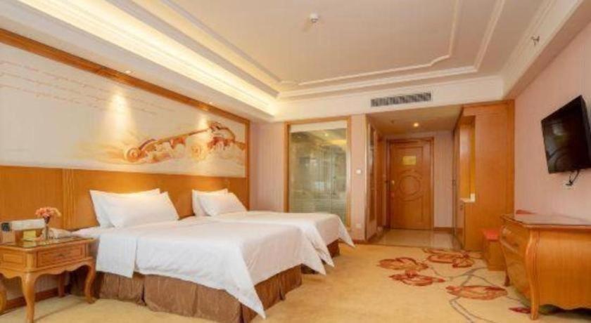 Vienna Hotel (Guangzhou Airport Road Huangshi) 23/60