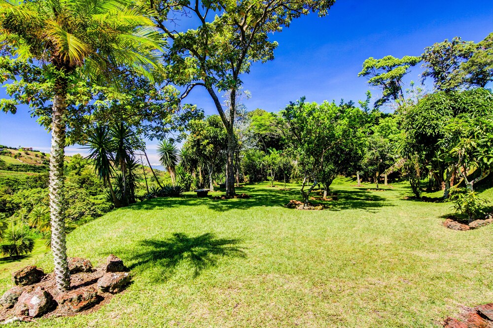 Hotel Mango Valley 20/39