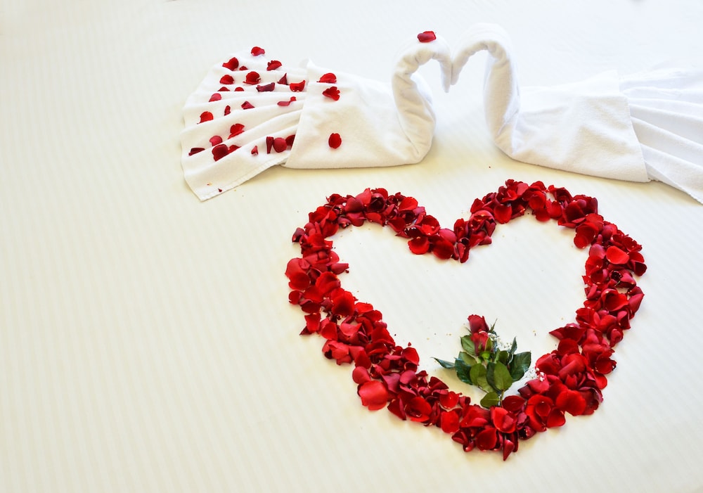 Thien Thao Hotel 23/32