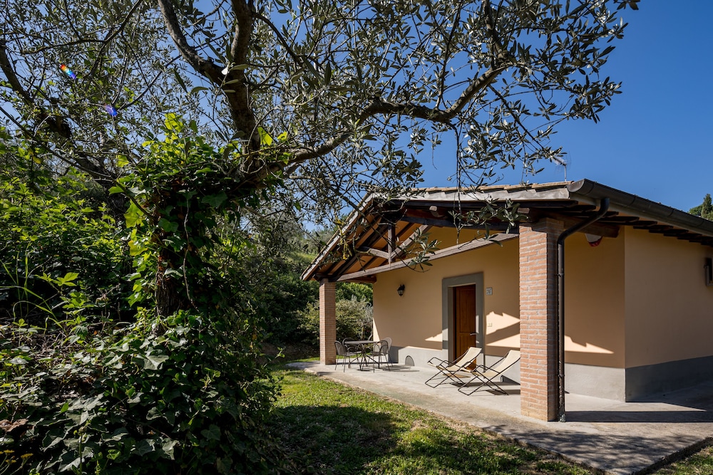 Il Poggio Degli Olivi 39/50