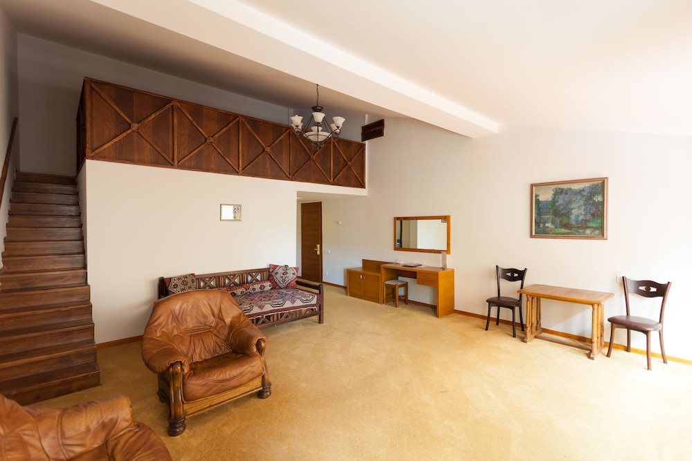 Kopala Tskneti Hotel 28/50