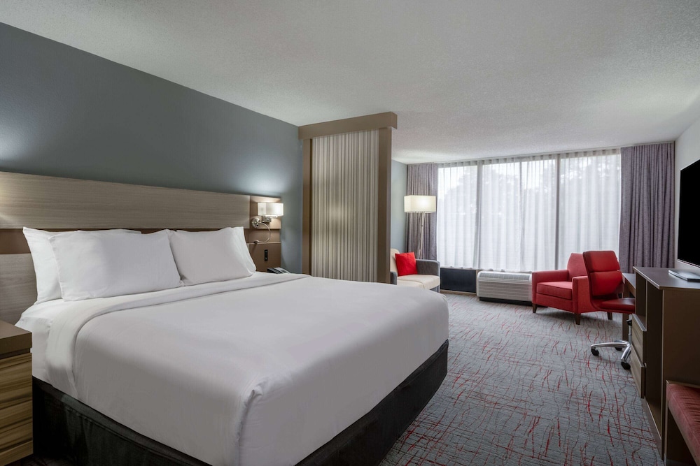 SUITE, KING BED
