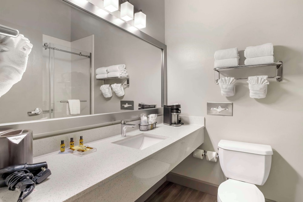 Best Western Plus Hobby Airport Inn and Suites 56/58