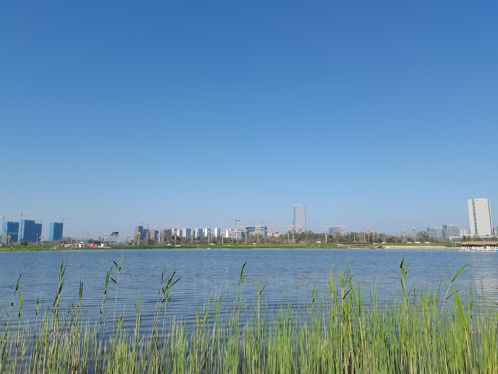 surroundings