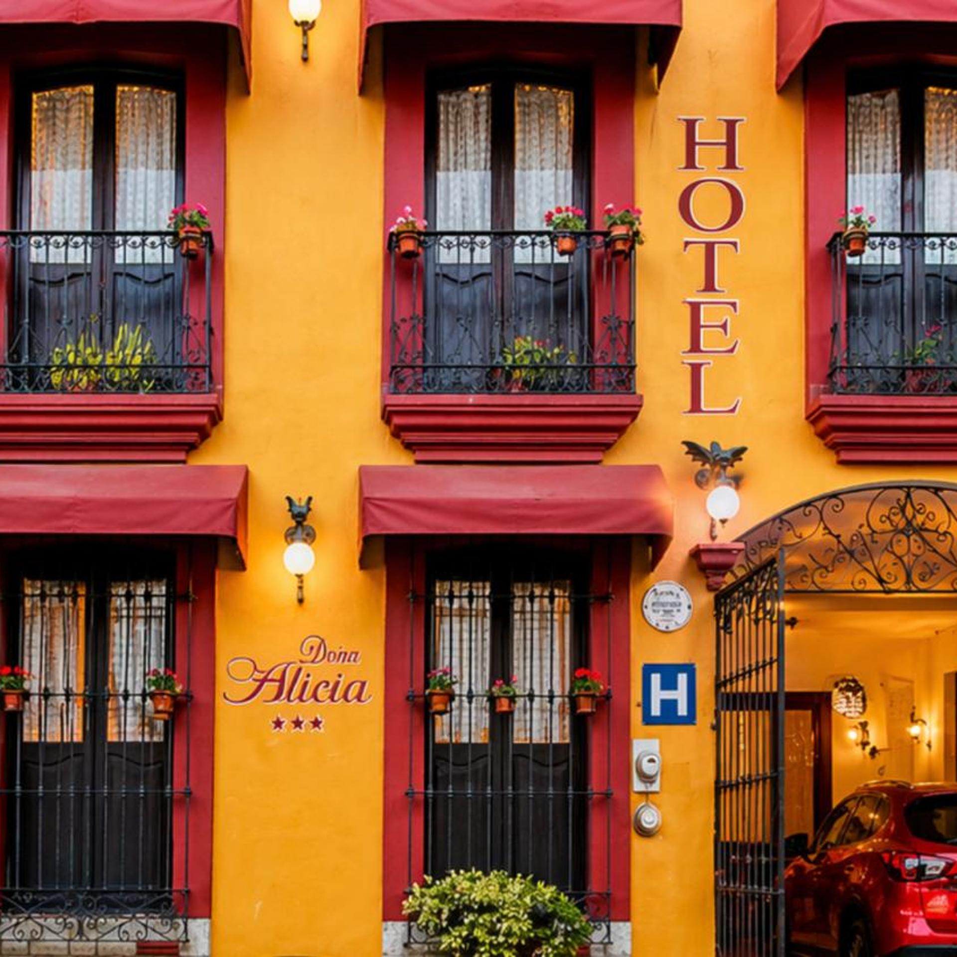 Hotel Posada Dona Alicia 2/50