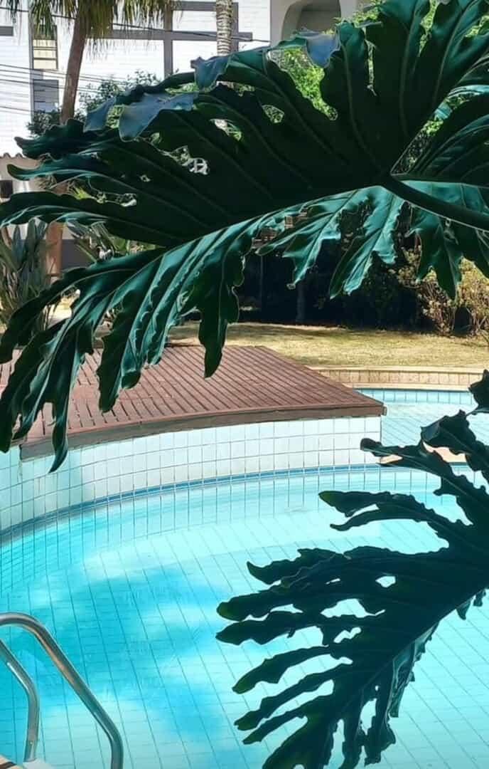 Vitoria Palace Hotel 15/17