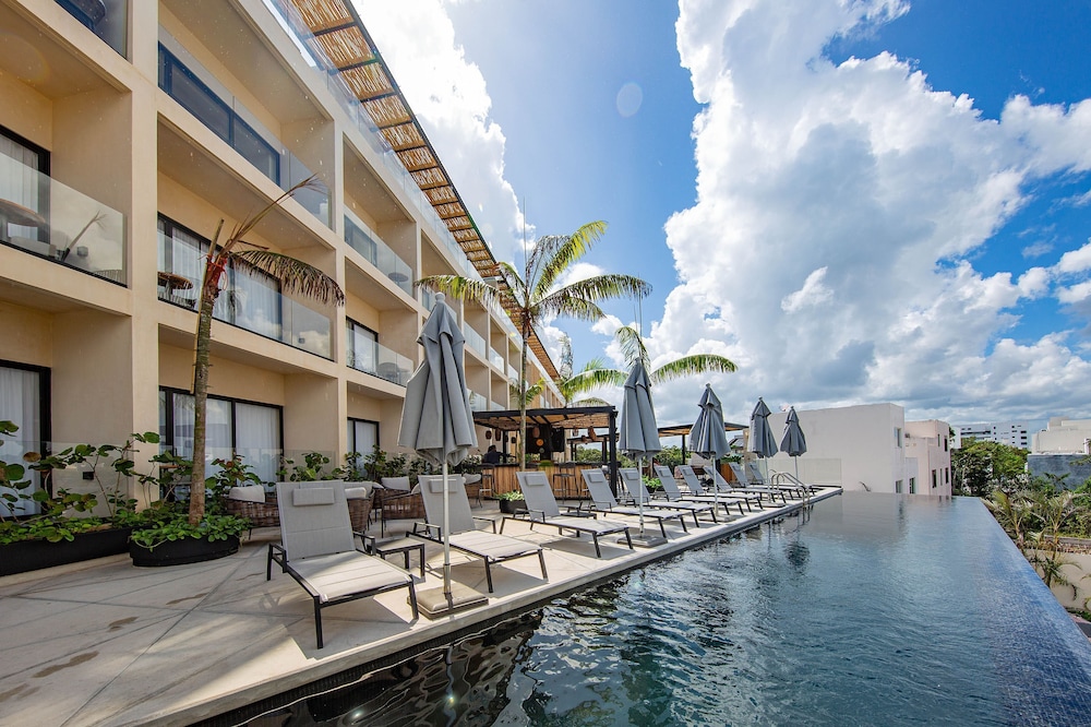 Hive Cancun 44/50