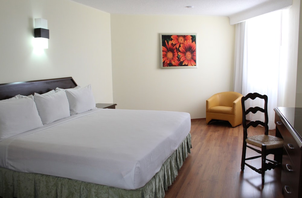 Hotel Valle de Mexico Toreo 22/74