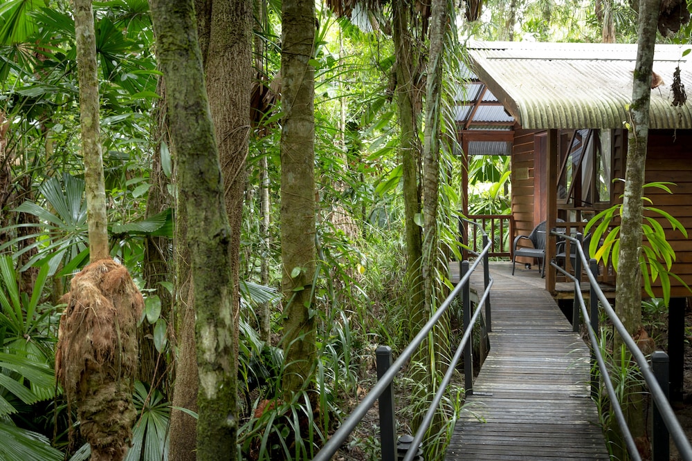 Daintree Wilderness Lodge 26/34