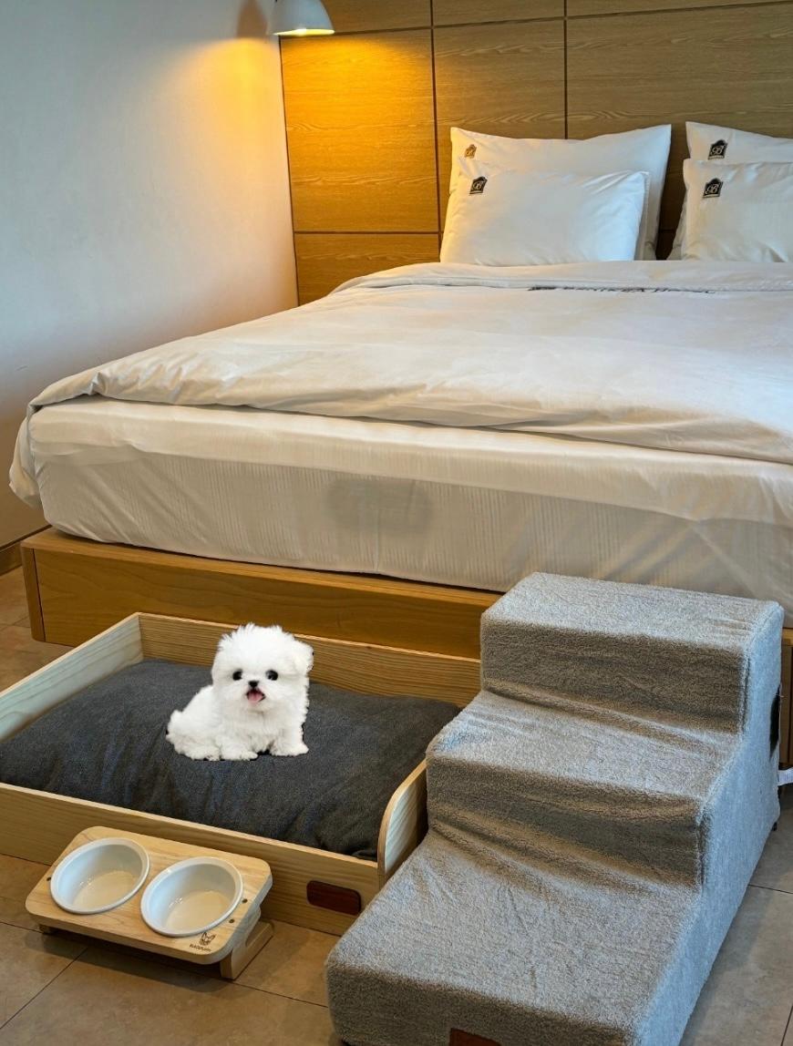 Deluxe, 1 Double and 1 Single Bed, Pet Friendly
