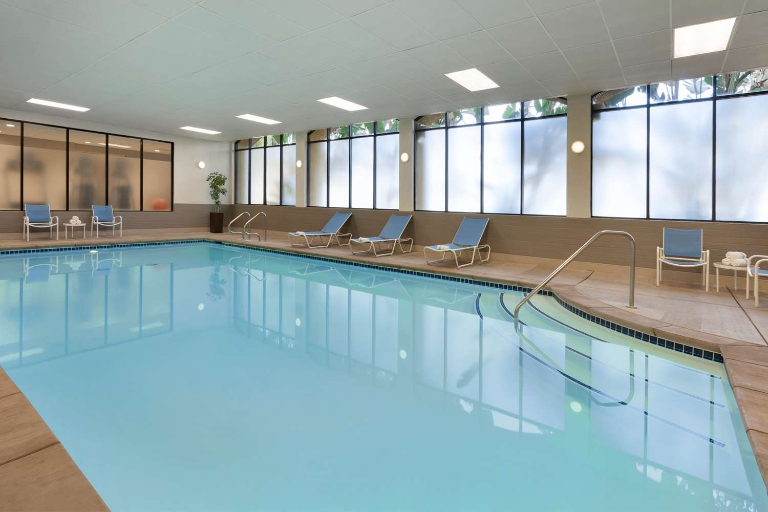 swimming pool spa