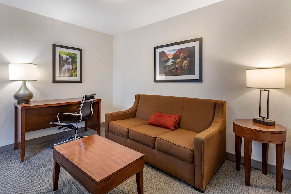Comfort Inn & Suites Carbondale on the Roaring Fork 27/60