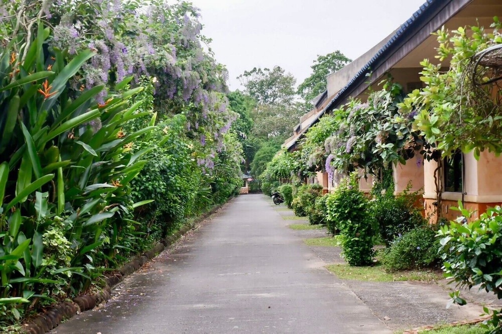 Palm Chalet Resort 44/50