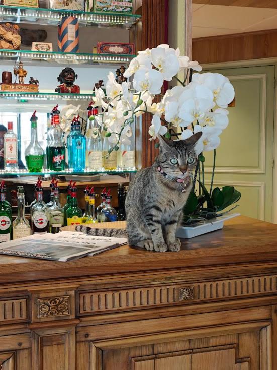 Relais Medicis 23/48