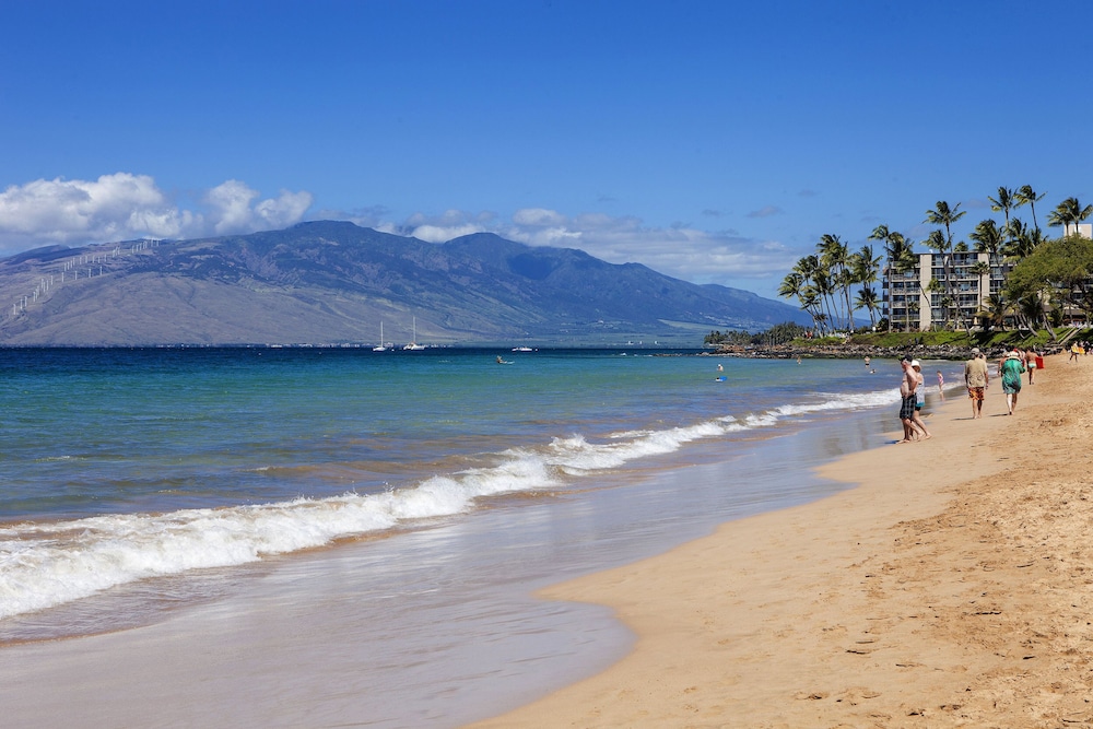 Maui Banyan Basic by AEI 19/28