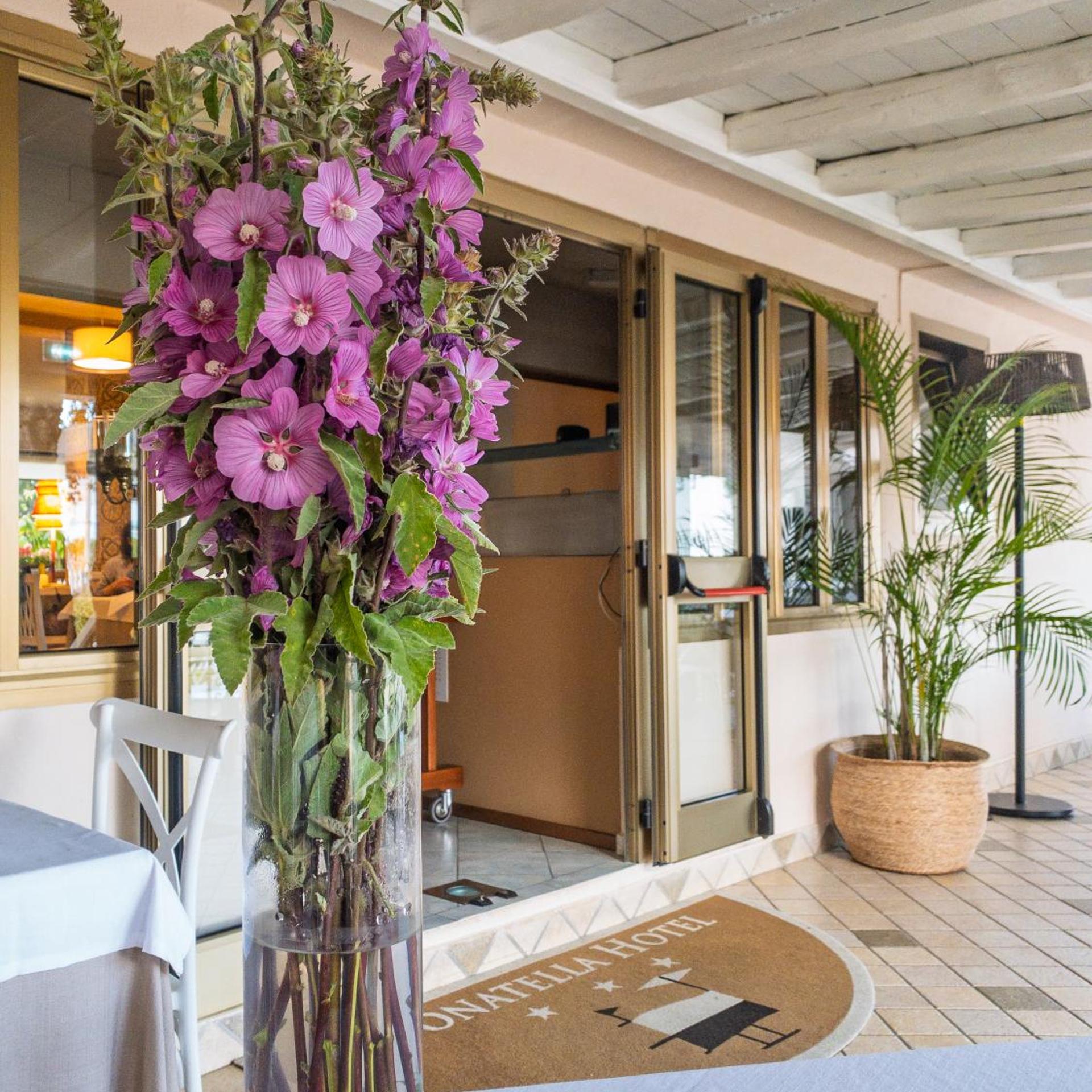 Hotel Donatella 7/50