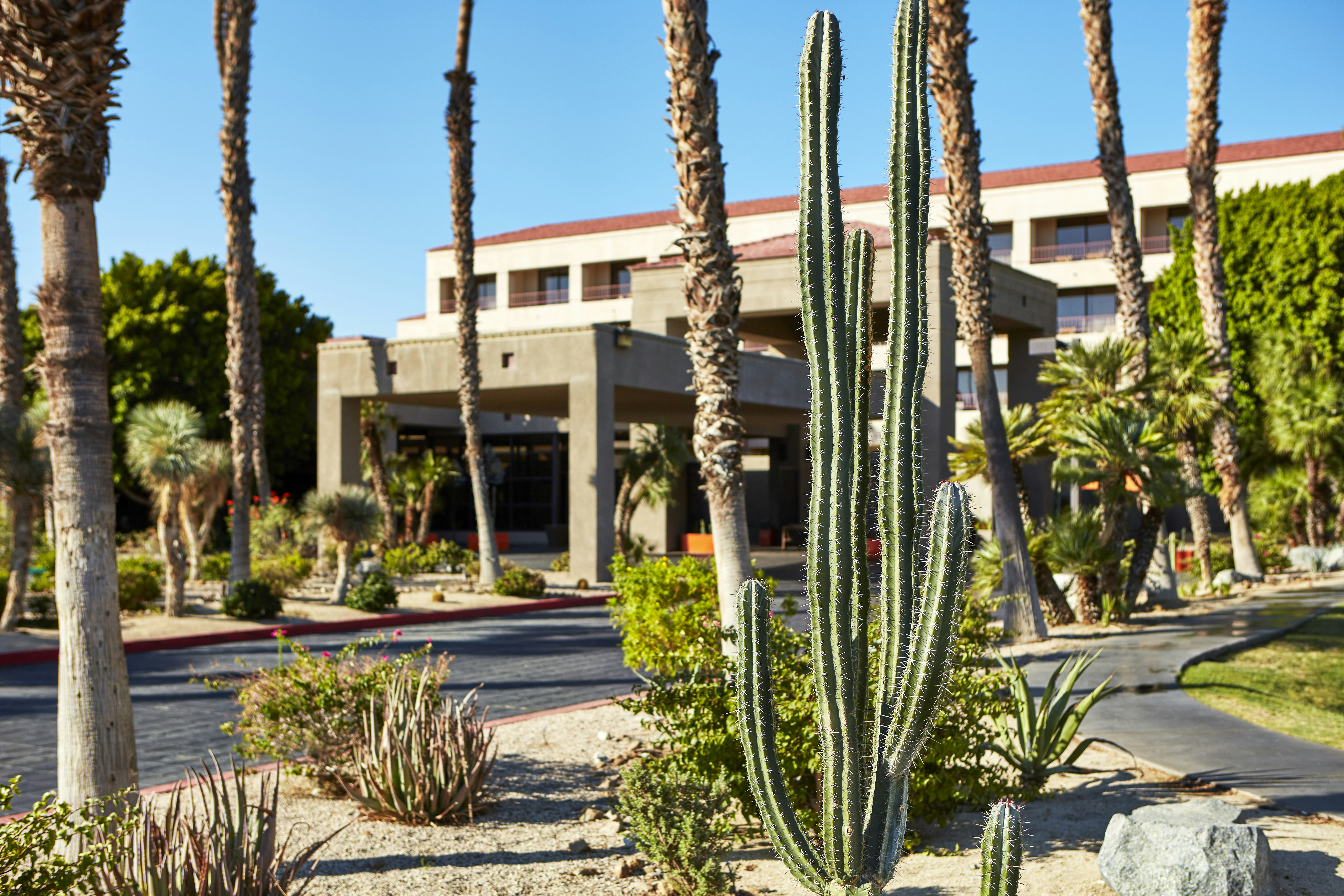 Doubletree By Hilton Golf Resort Palm Springs 65/81