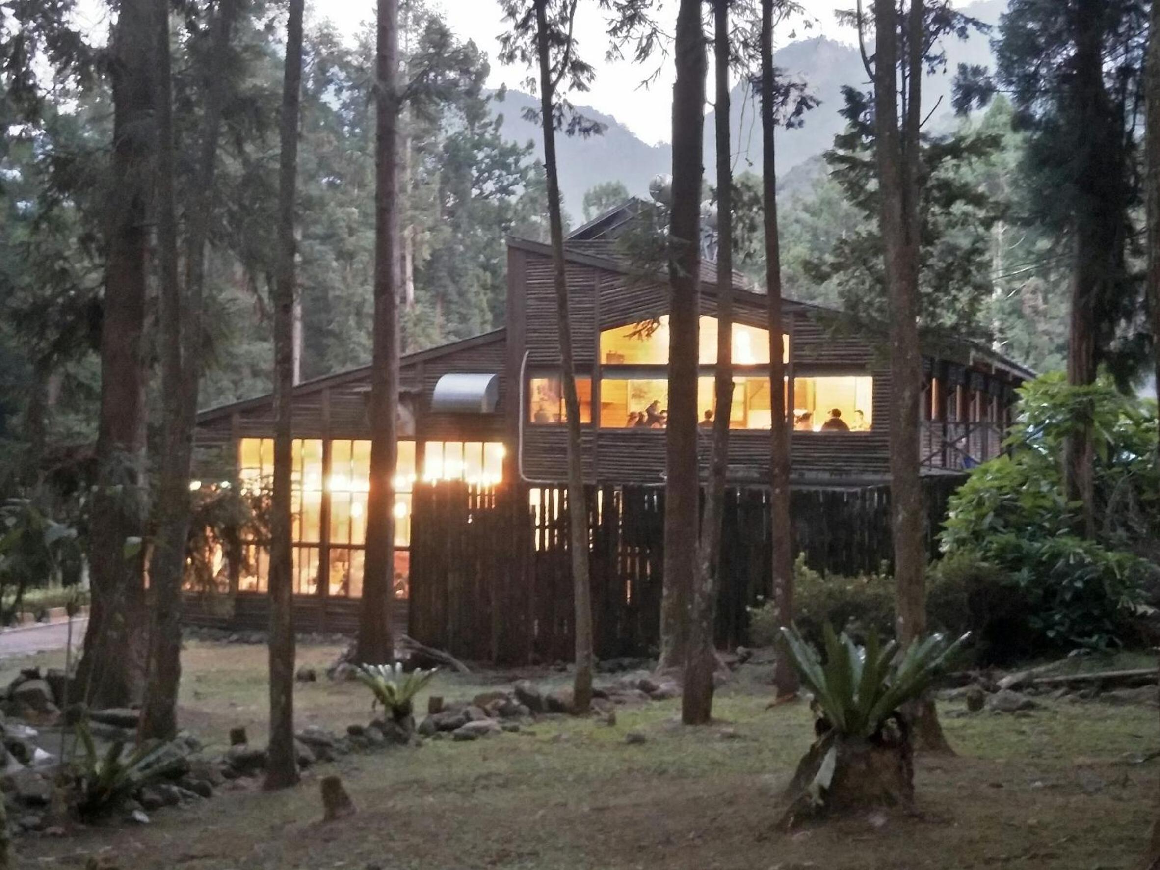 Xitou Youth Activity Center Hostel 5/36