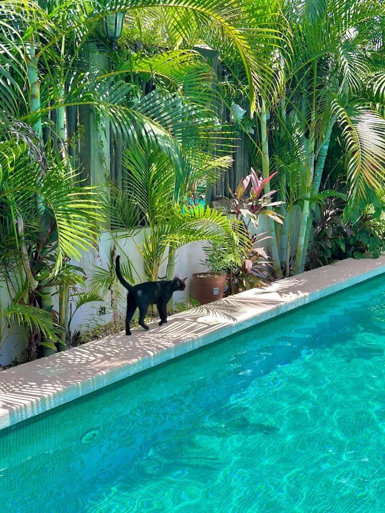 Hotel Jaiba Mahahual 55/58