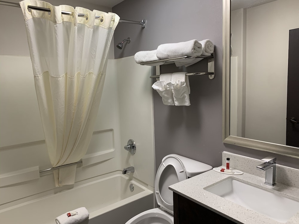 جناح استوديو بسرير كوين، Microtel Inn And Suites Clarksville 5/5