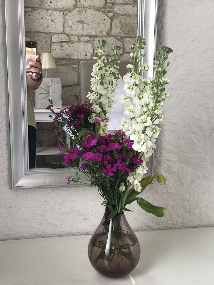 Alacati Cona Butik Otel 9/50