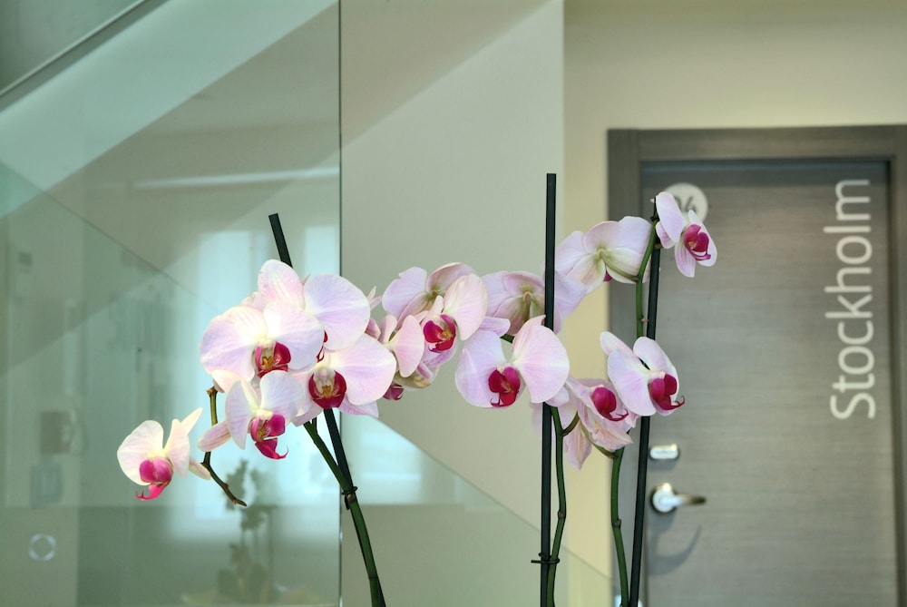 Le Petit Boutique Hotel - Adults Only 33/50