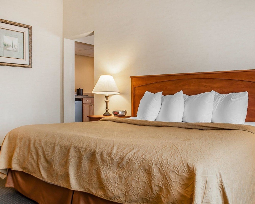 Quality Hotel & Suites At The Falls 18/51