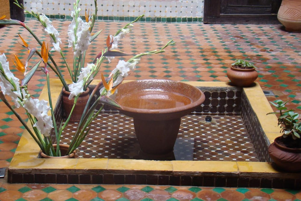 Riad Menthe Et Citron 21/44
